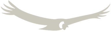 CONDOR OTC S.A. Logo